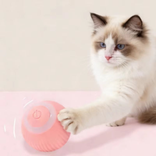 Automatic Electric Cat Ball Toy Interactive Rolling Smart Self-Moving Kitten Plaything for Indoor Cats Training and Fun