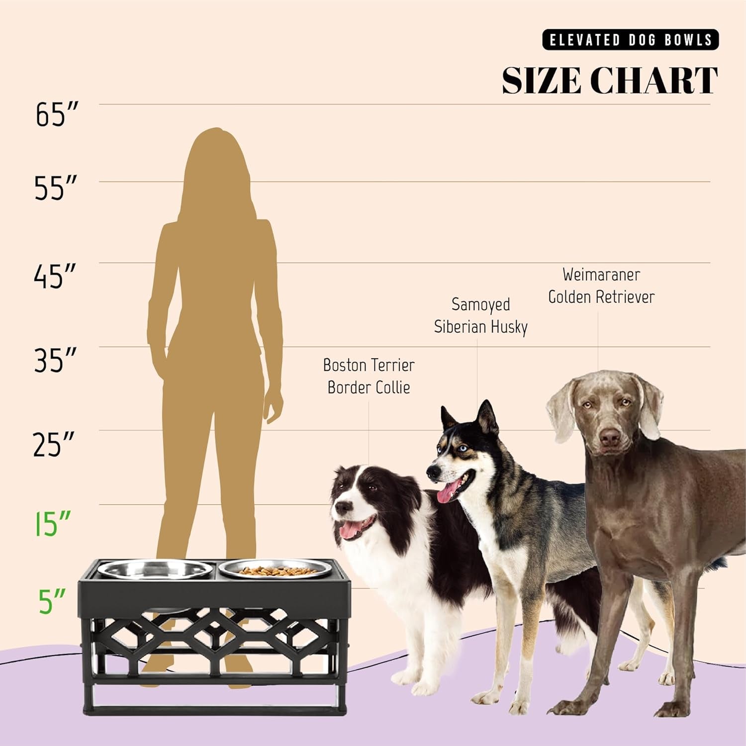 Elevated Dog Bowls, 4 Height Adjustable Stand for Medium and Large Dogs, Raised Dog Feeder Holder with 2 Stainless Steel Food and Water Bowls, Anti-Slip Base Tall Feeding Station