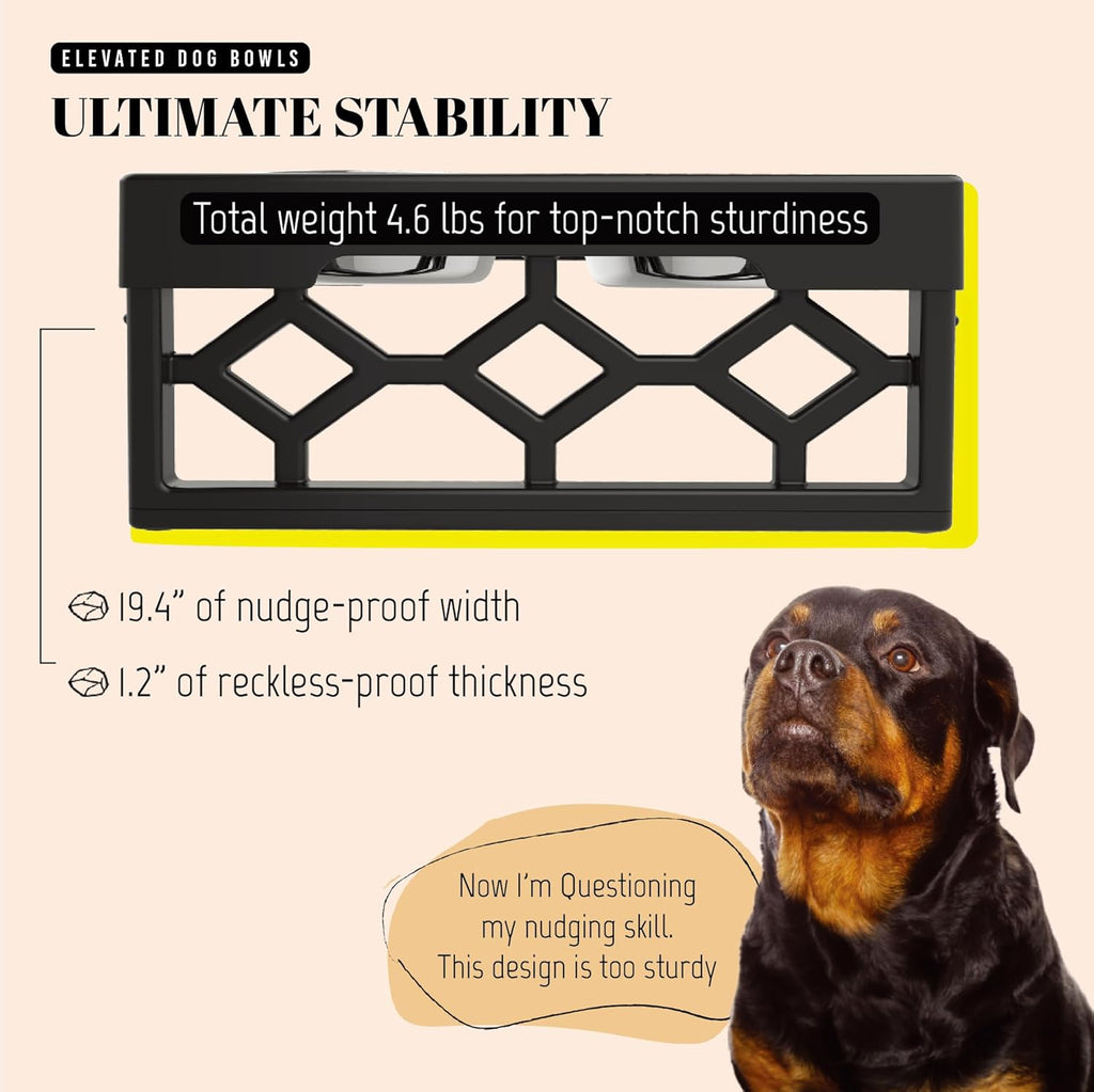 Elevated Dog Bowls, 4 Height Adjustable Stand for Medium and Large Dogs, Raised Dog Feeder Holder with 2 Stainless Steel Food and Water Bowls, Anti-Slip Base Tall Feeding Station